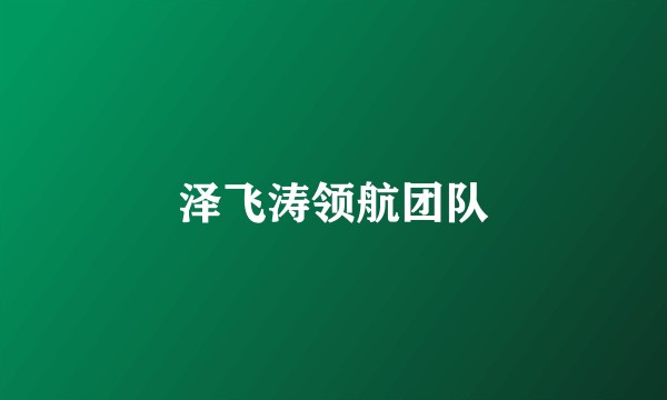 泽飞涛领航团队