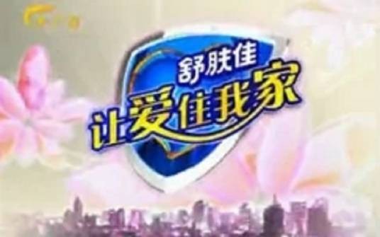 让爱住我家(广西卫视栏目)