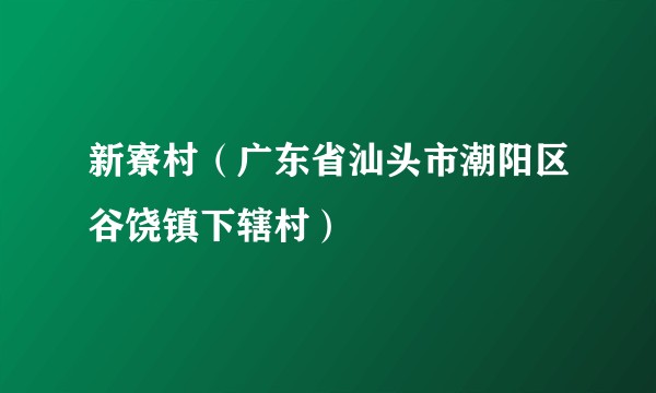 新寮村(广东省汕头市潮阳区谷饶镇下辖村)