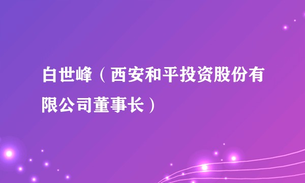 白世峰（西安和平投资股份有限公司董事长）
