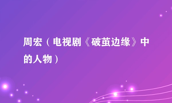 周宏（电视剧《破茧边缘》中的人物）