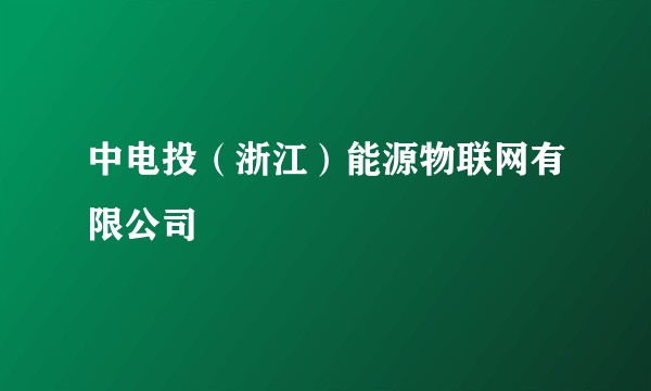 中电投(浙江)能源物联网有限公司