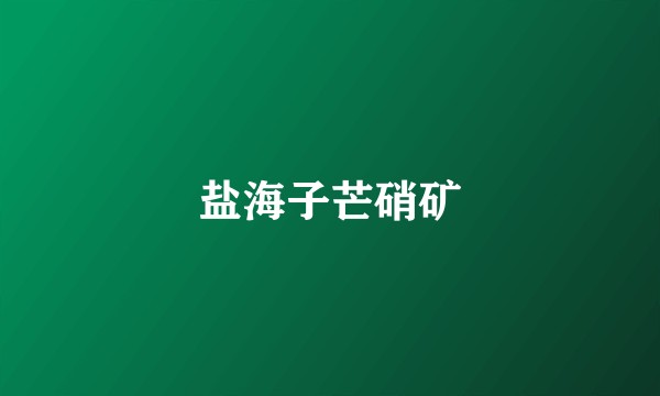 盐海子芒硝矿