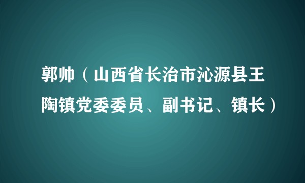 郭帅（山西省长治市沁源县王陶镇党委委员、副书记、镇长）
