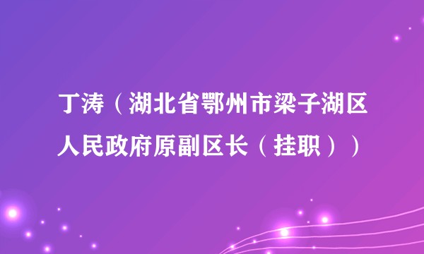 丁涛（湖北省鄂州市梁子湖区人民政府原副区长（挂职））