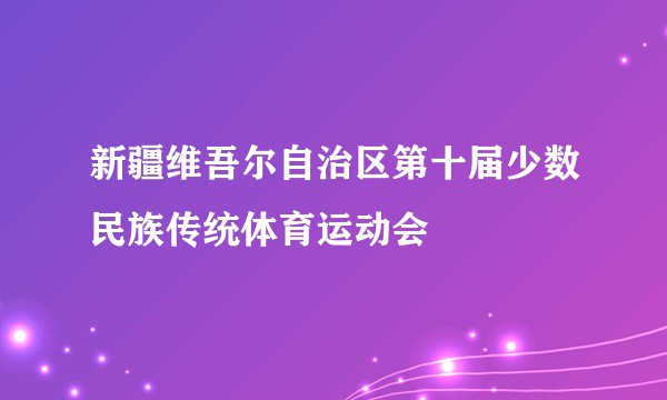 新疆维吾尔自治区第十届少数民族传统体育运动会
