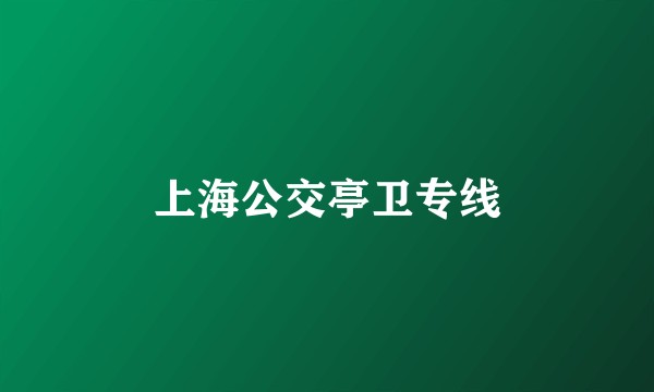 上海公交亭卫专线