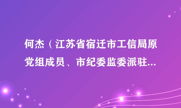 何杰（江苏省宿迁市工信局原党组成员、市纪委监委派驻第十纪检监察组原组长）