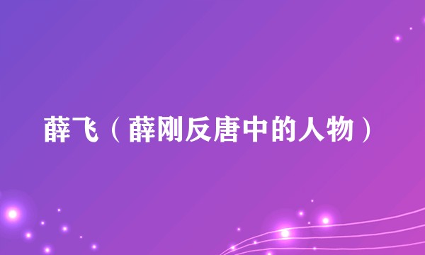 薛飞（薛刚反唐中的人物）