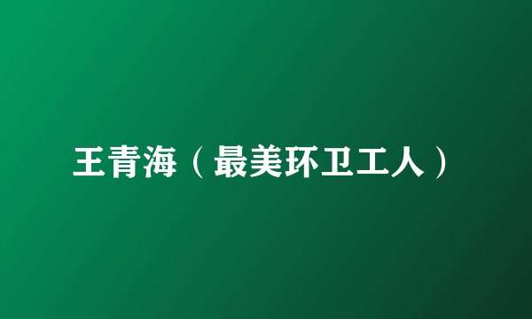 王青海（最美环卫工人）