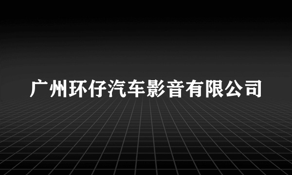 广州环仔汽车影音有限公司