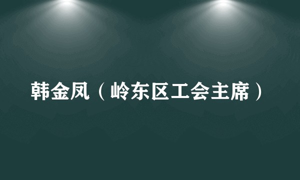 韩金凤（岭东区工会主席）