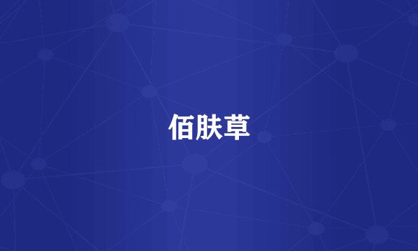 佰肤草