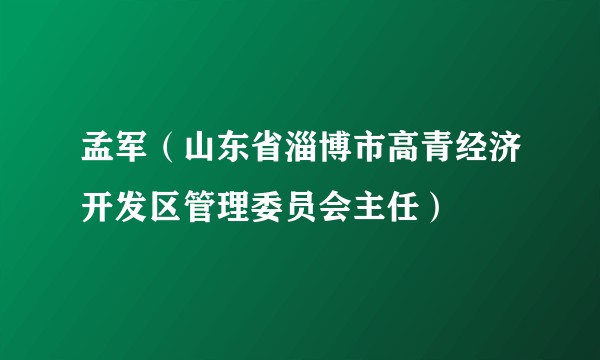 孟军（山东省淄博市高青经济开发区管理委员会主任）