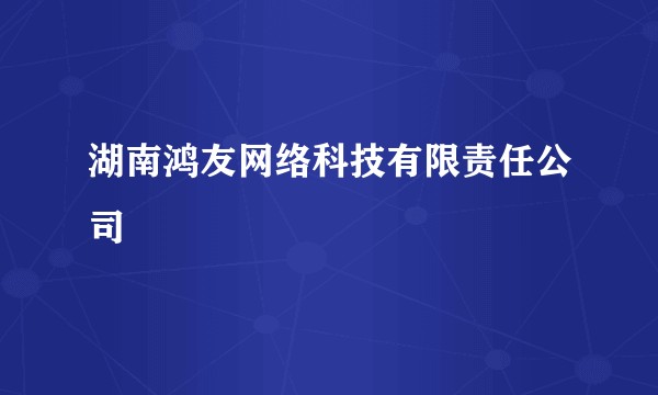 湖南鸿友网络科技有限责任公司