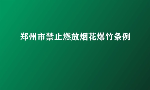 郑州市禁止燃放烟花爆竹条例