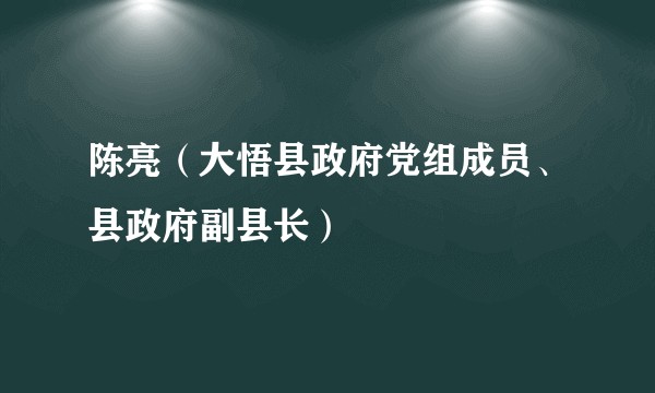 陈亮（大悟县政府党组成员、县政府副县长）