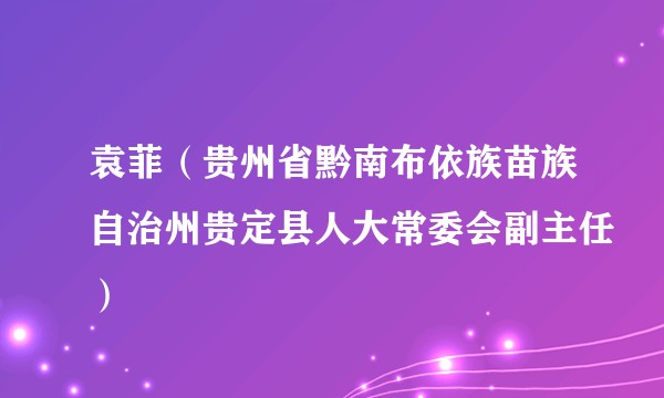 袁菲（贵州省黔南布依族苗族自治州贵定县人大常委会副主任）