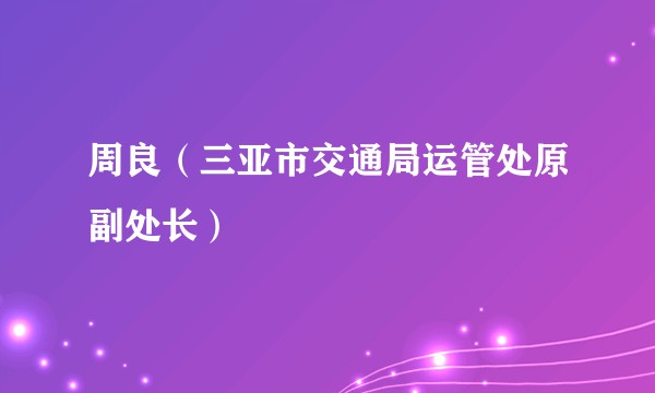 周良（三亚市交通局运管处原副处长）