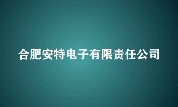 合肥安特电子有限责任公司