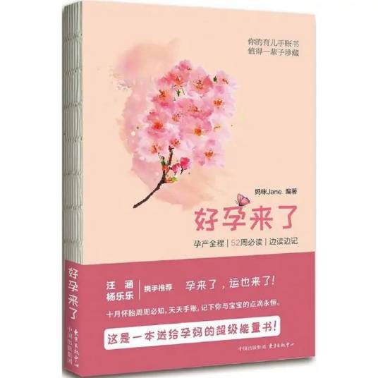 好孕来了（2016年上海东方出版中心出版的图书）