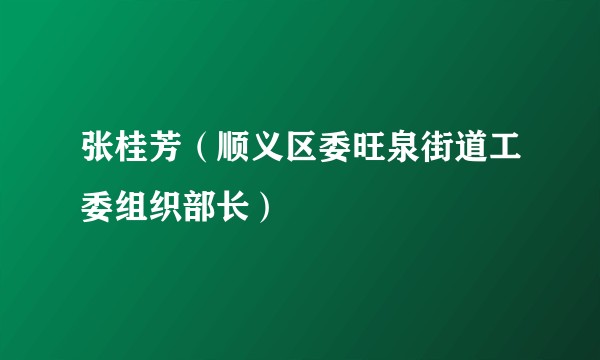 张桂芳（顺义区委旺泉街道工委组织部长）