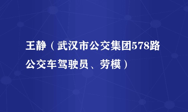 王静（武汉市公交集团578路公交车驾驶员、劳模）