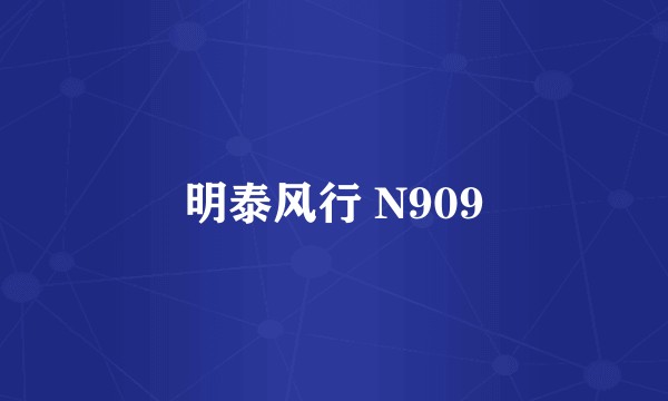 明泰风行 N909