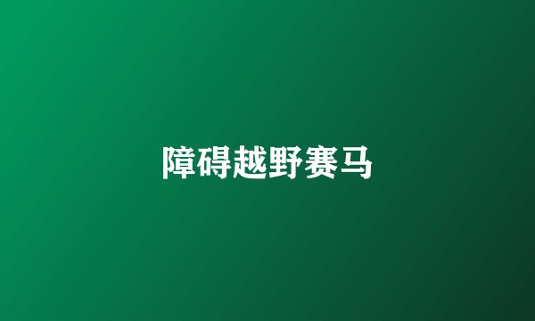 障碍越野赛马
