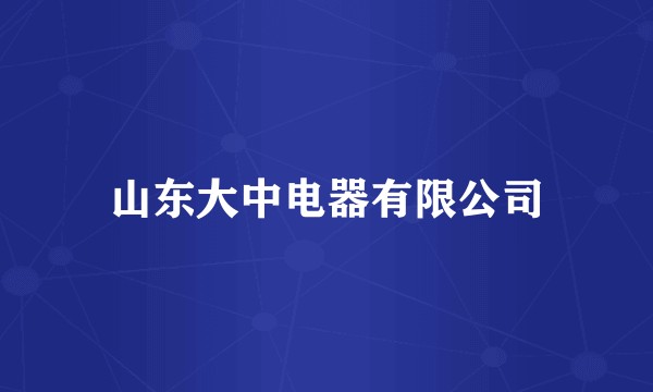 山东大中电器有限公司