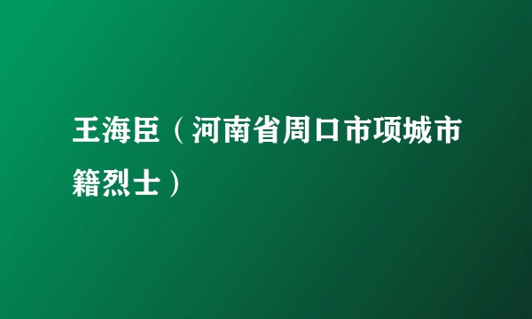 王海臣（河南省周口市项城市籍烈士）