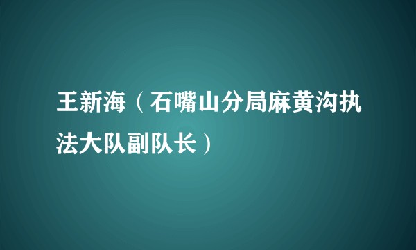 王新海（石嘴山分局麻黄沟执法大队副队长）