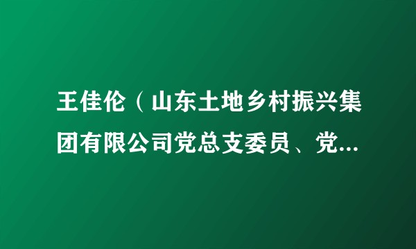 王佳伦（山东土地乡村振兴集团有限公司党总支委员、党建创新部部长）