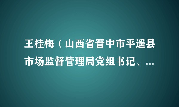 王桂梅(山西省晋中市平遥县市场监督管理局党组书记、局长、县市场监管综合行政执法队队长)