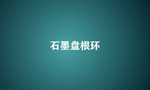 石墨盘根环