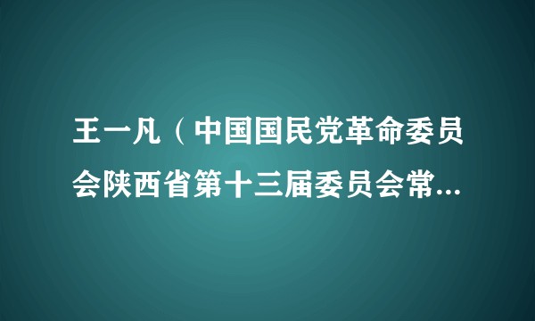 王一凡（中国国民党革命委员会陕西省第十三届委员会常务委员）