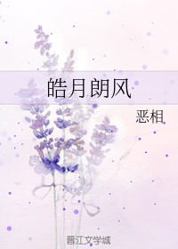 皓月朗风