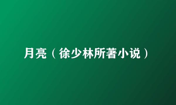 月亮（徐少林所著小说）