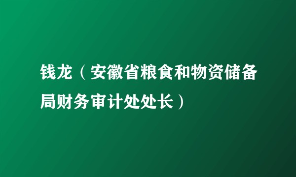 钱龙（安徽省粮食和物资储备局财务审计处处长）