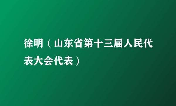 徐明（山东省第十三届人民代表大会代表）