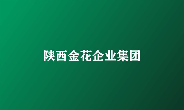 陕西金花企业集团
