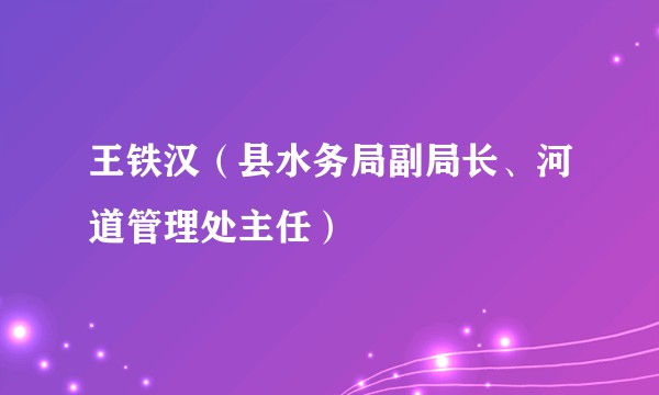 王铁汉（县水务局副局长、河道管理处主任）