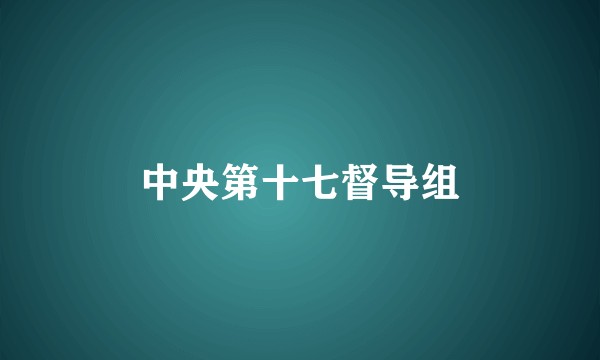 中央第十七督导组