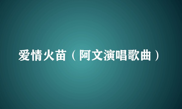 爱情火苗（阿文演唱歌曲）