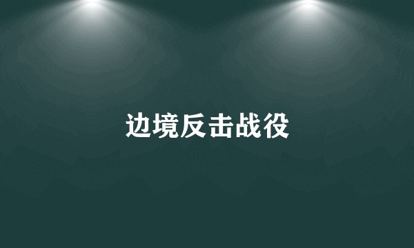 边境反击战役