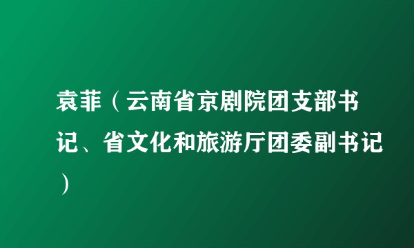 袁菲（云南省京剧院团支部书记、省文化和旅游厅团委副书记）