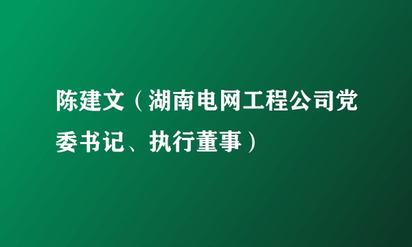 陈建文（湖南电网工程公司党委书记、执行董事）