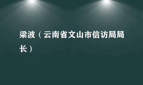 梁波（云南省文山市信访局局长）