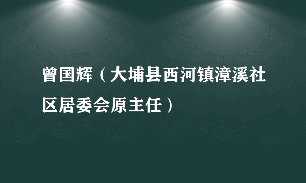 曾国辉（大埔县西河镇漳溪社区居委会原主任）