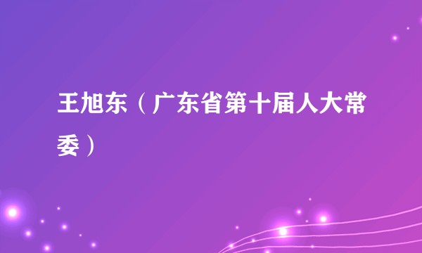 王旭东（广东省第十届人大常委）